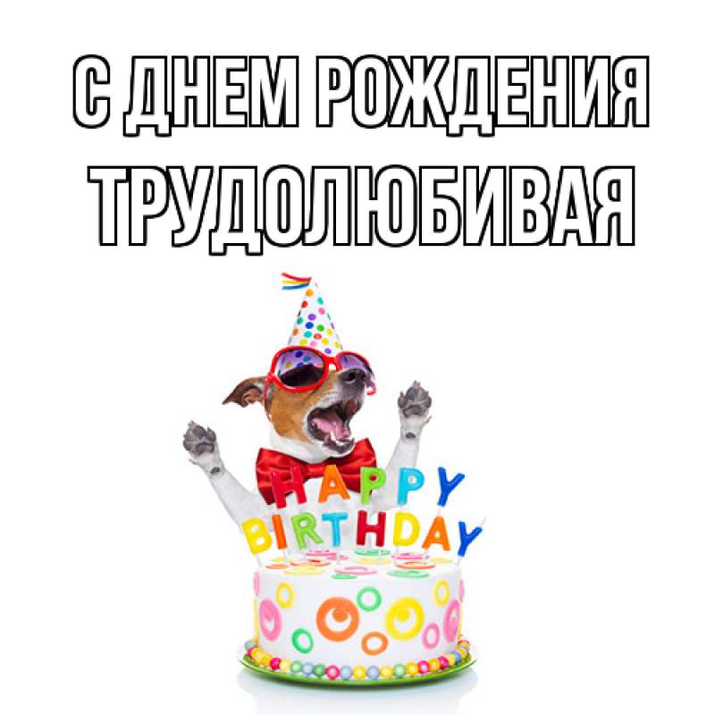Картинка С днем рождения, Тpудолюбивая