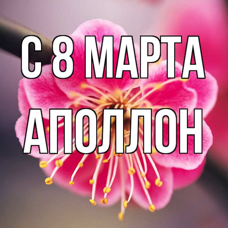 Картинка C 8 МАРТА, Аполлон