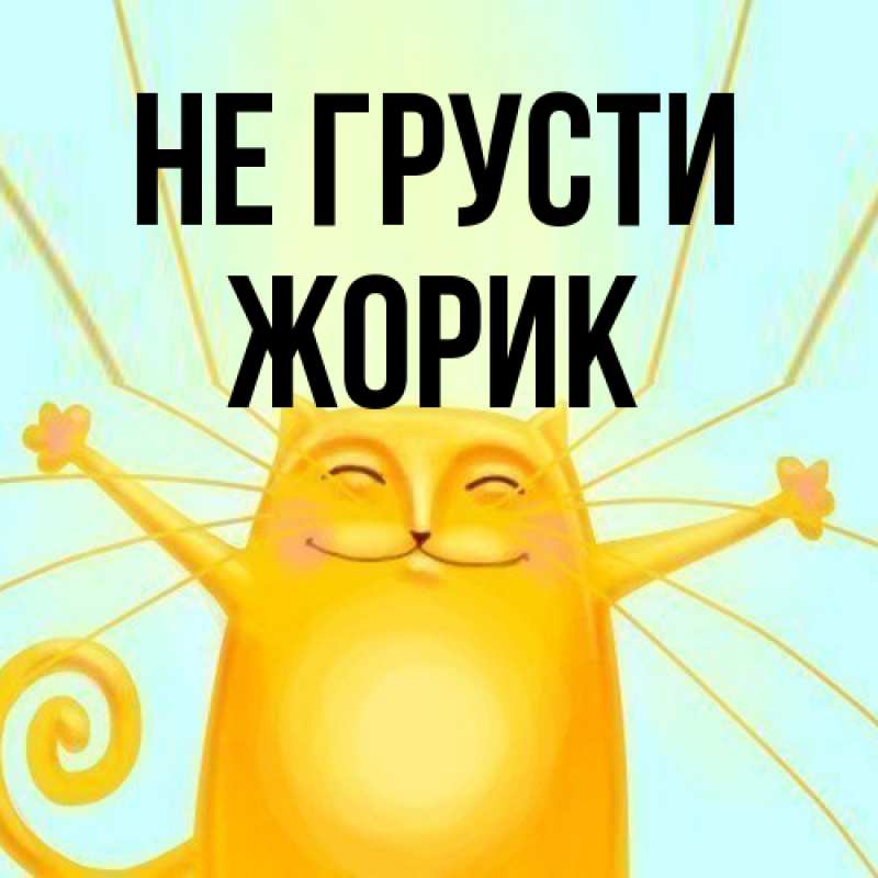 Картинка Не грусти, жорик