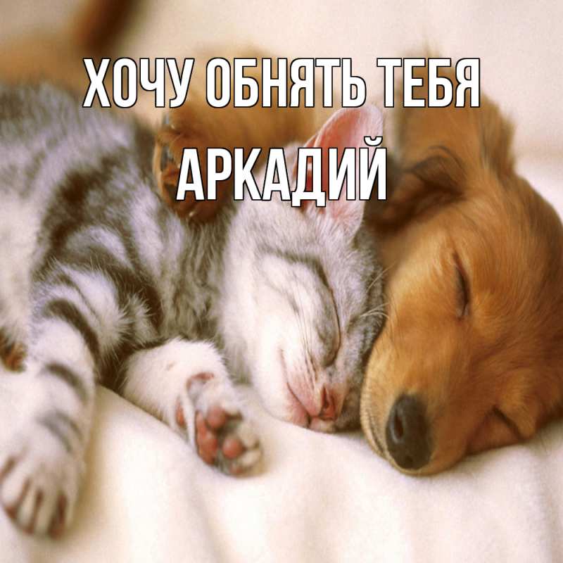 Картинка Хочу обнять тебя, Аркадий