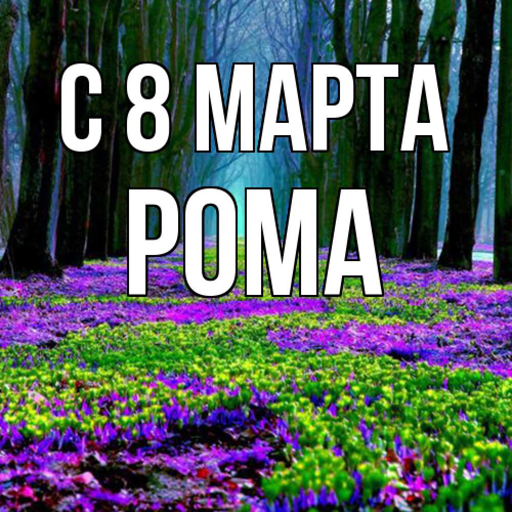 Открытка на каждый день с именем, Рома C 8 МАРТА фиолетовые цветы в лесу 1 Прикольная открытка с пожеланием онлайн скачать бесплатно 