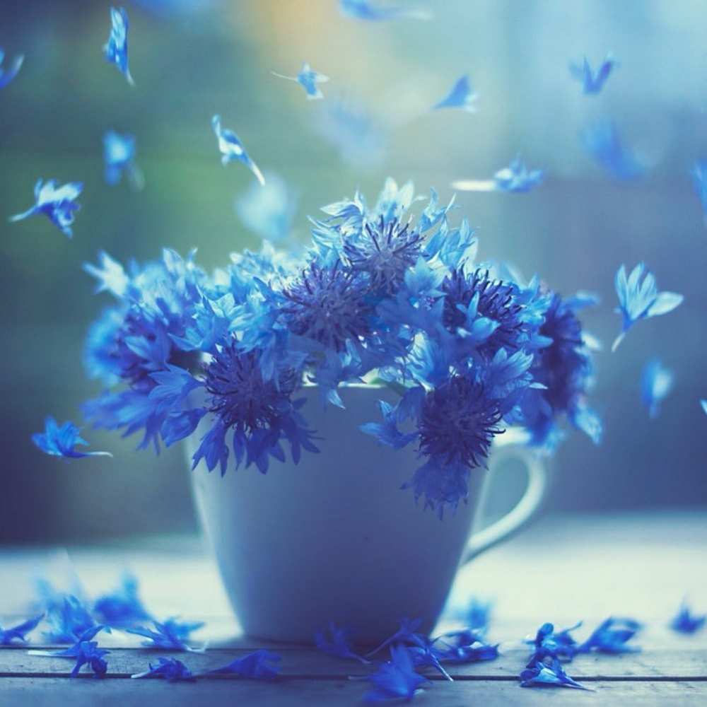 Открытка на каждый день с именем, Дебора Выздоравливай кружка с зельем и цветами Прикольная открытка с пожеланием онлайн скачать бесплатно 