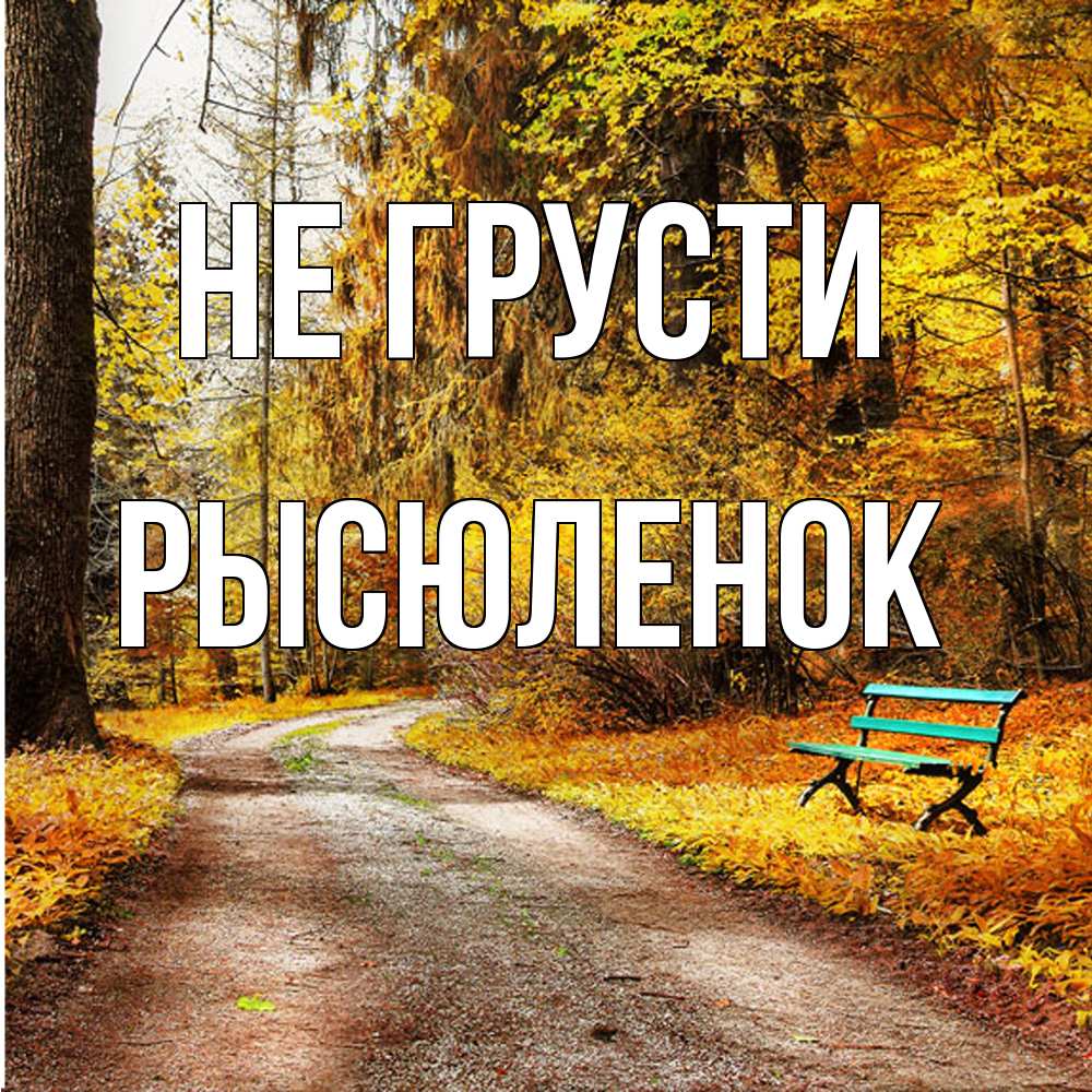 Открытка на каждый день с именем, Рысюленок Не грусти зеленая лавочка Прикольная открытка с пожеланием онлайн скачать бесплатно 