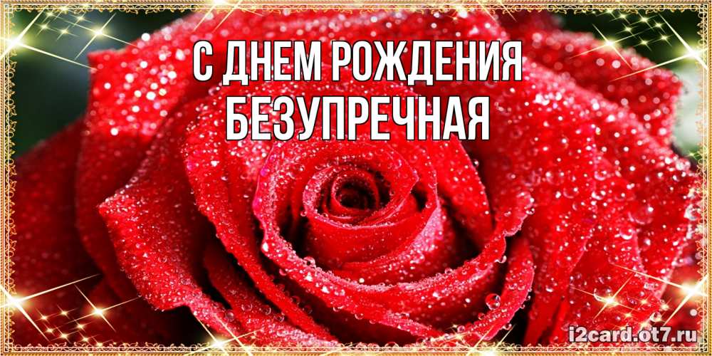 Открытка на каждый день с именем, Безупречная С днем рождения роса и роза. открытка с красивой розой Прикольная открытка с пожеланием онлайн скачать бесплатно 