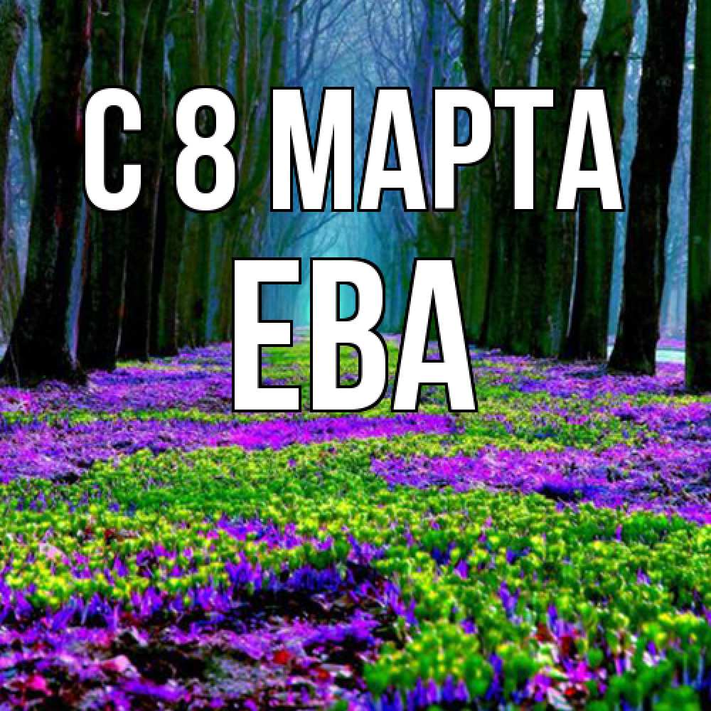 Открытка на каждый день с именем, Ева C 8 МАРТА фиолетовые цветы в лесу 1 Прикольная открытка с пожеланием онлайн скачать бесплатно 