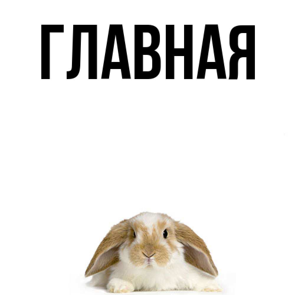 Открытка на каждый день с именем, настя Главная открытки с произвольным текстом который можно вставить в открытку и создать ее самостоятельно бесплатно онлайн Прикольная открытка с пожеланием онлайн скачать бесплатно 