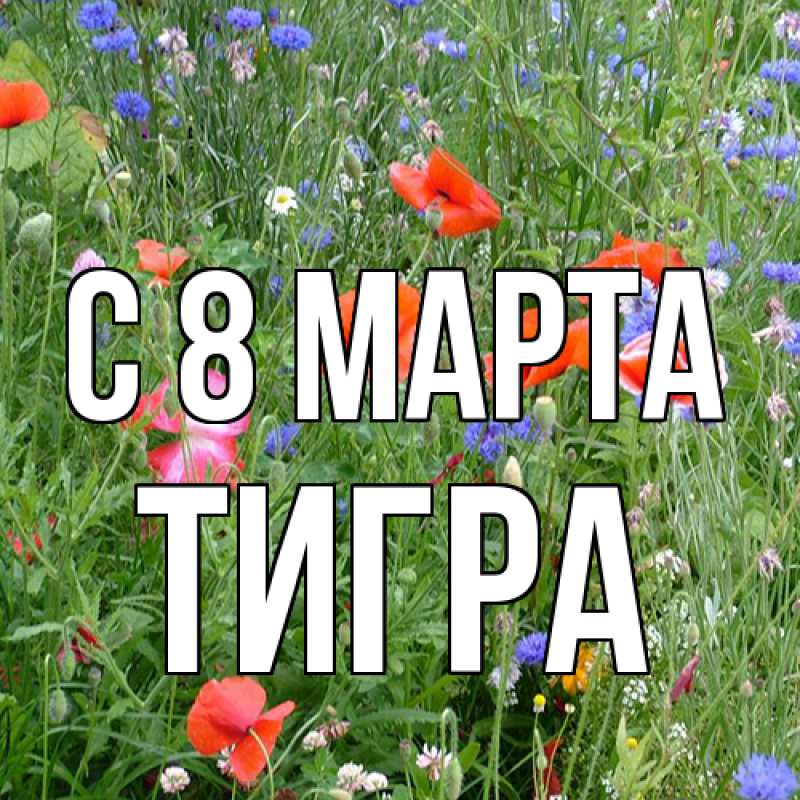 Картинка C 8 МАРТА, Тигpа