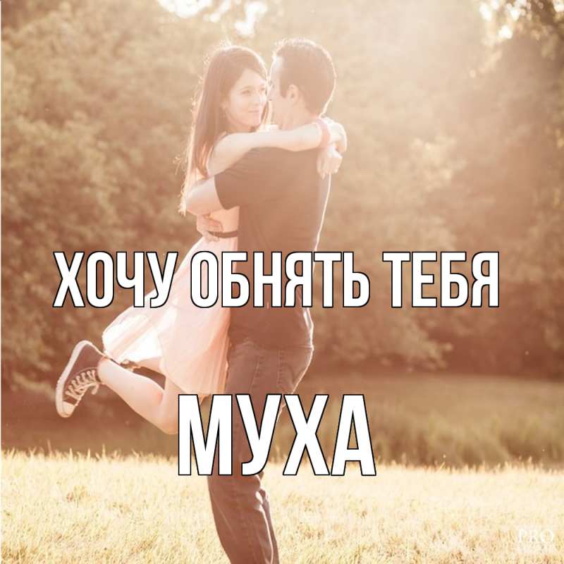 Картинка Хочу обнять тебя, Муха