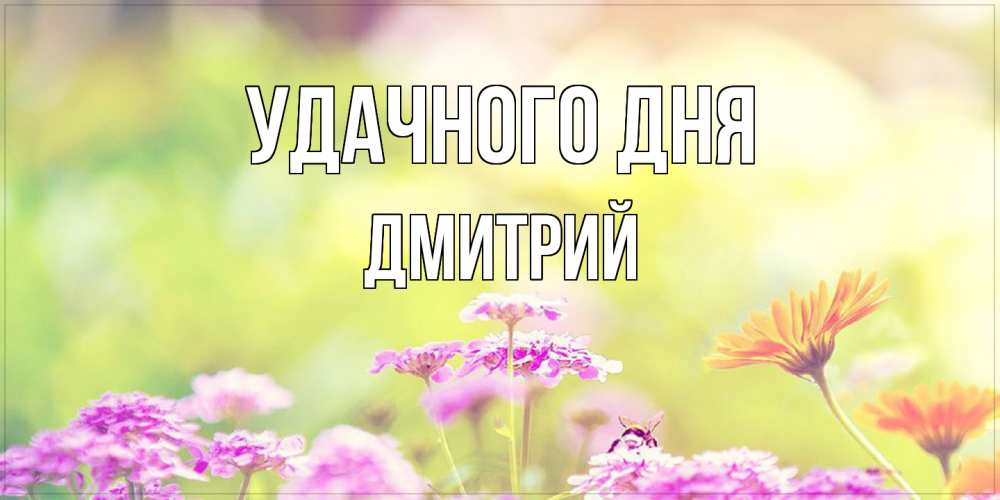 Открытка на каждый день с именем, Дмитрий Удачного дня красивая открытка с летней темой Прикольная открытка с пожеланием онлайн скачать бесплатно 