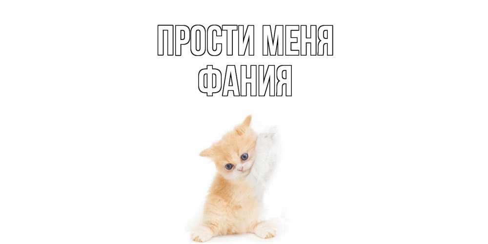 Открытка на каждый день с именем, Фания Прости меня кот Прикольная открытка с пожеланием онлайн скачать бесплатно 