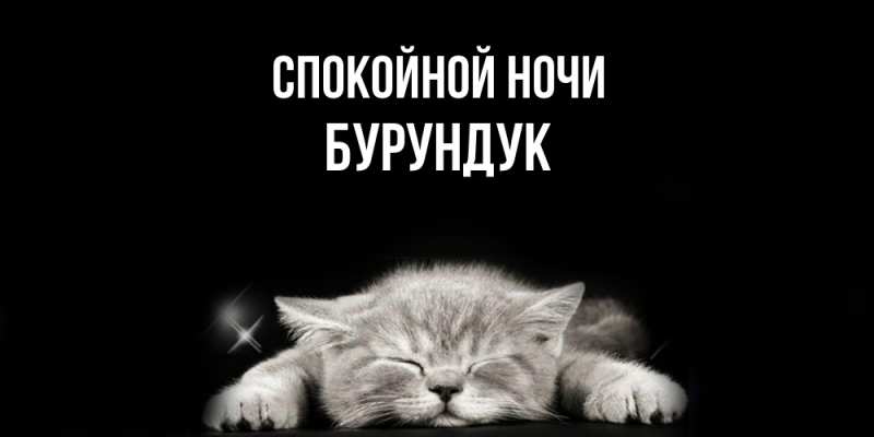 Картинка Спокойной ночи, Бурундук