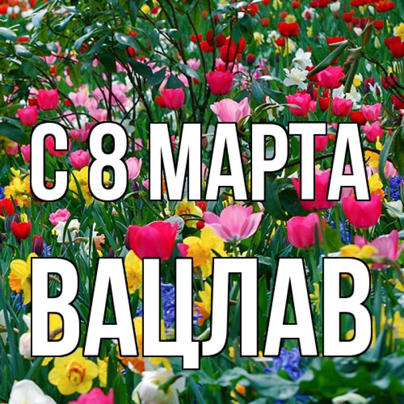 Картинка C 8 МАРТА, Вацлав