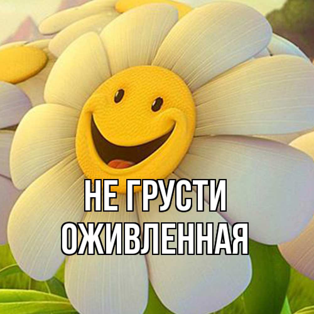 Открытка на каждый день с именем, Оживленная Не грусти огромная улыбающаяся ромашуща Прикольная открытка с пожеланием онлайн скачать бесплатно 