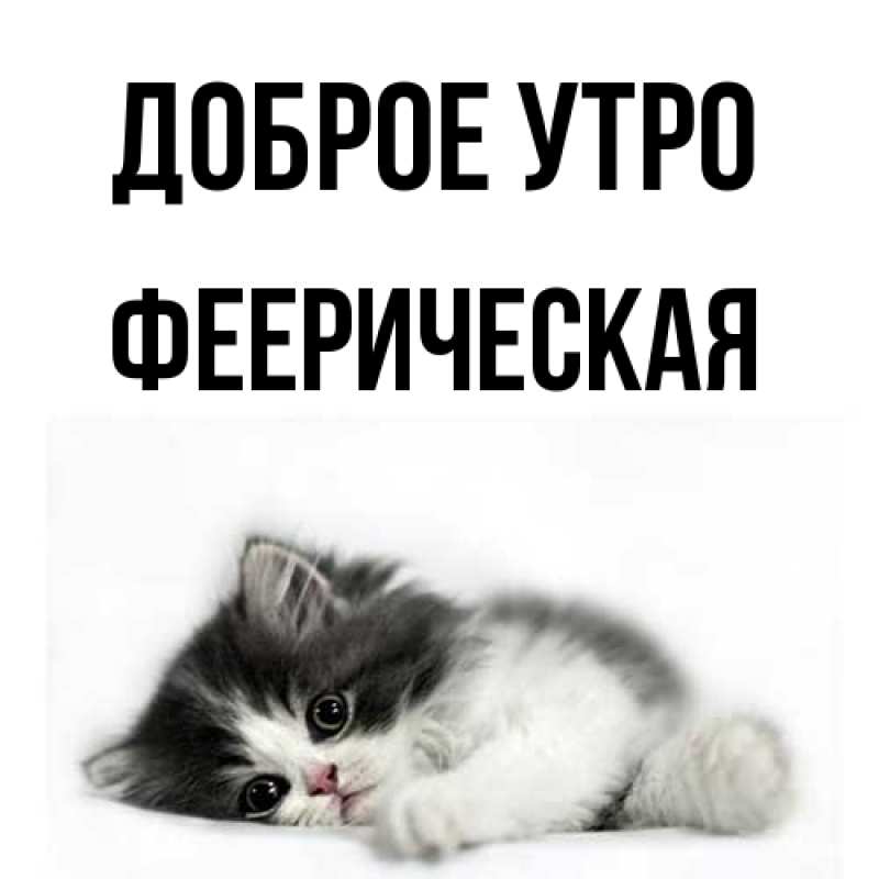 Картинка Доброе утро, Фееpическая