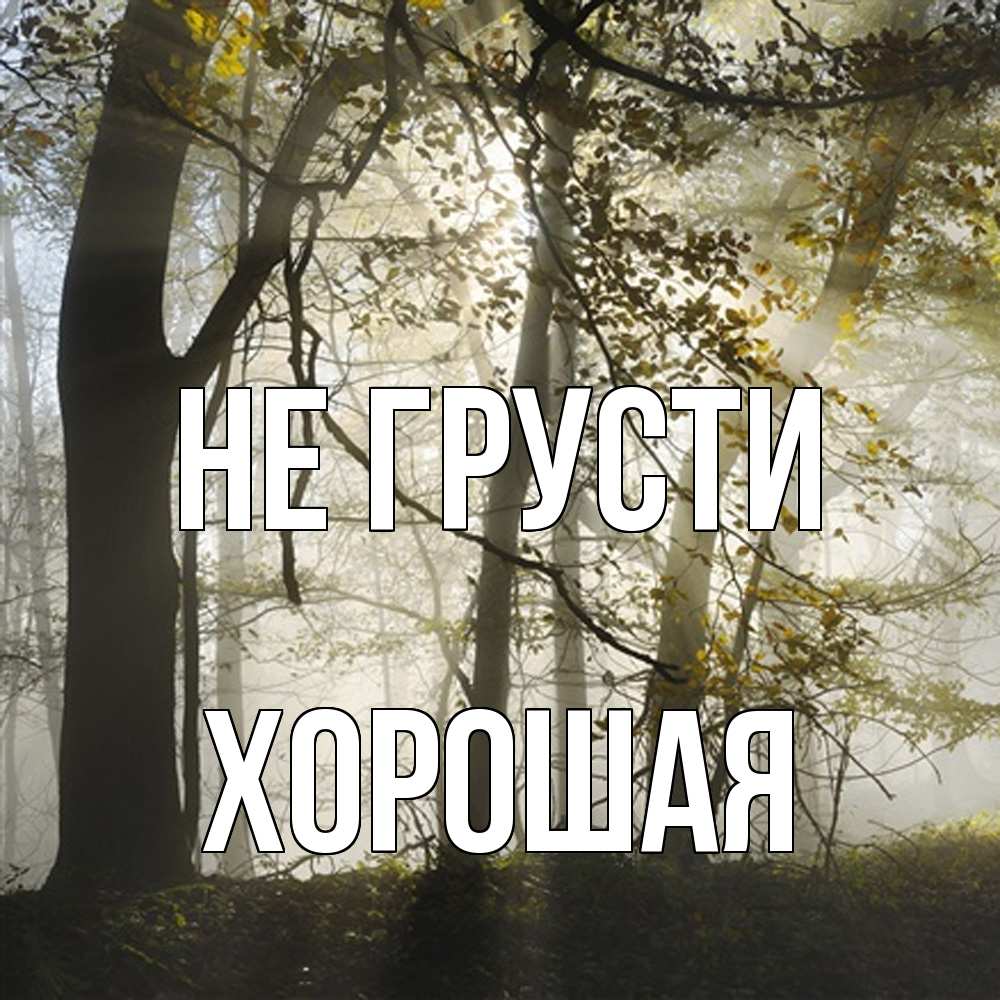 Открытка на каждый день с именем, хорошая Не грусти лес и свет Прикольная открытка с пожеланием онлайн скачать бесплатно 