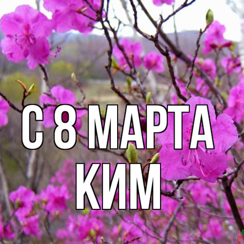Картинка C 8 МАРТА, Ким