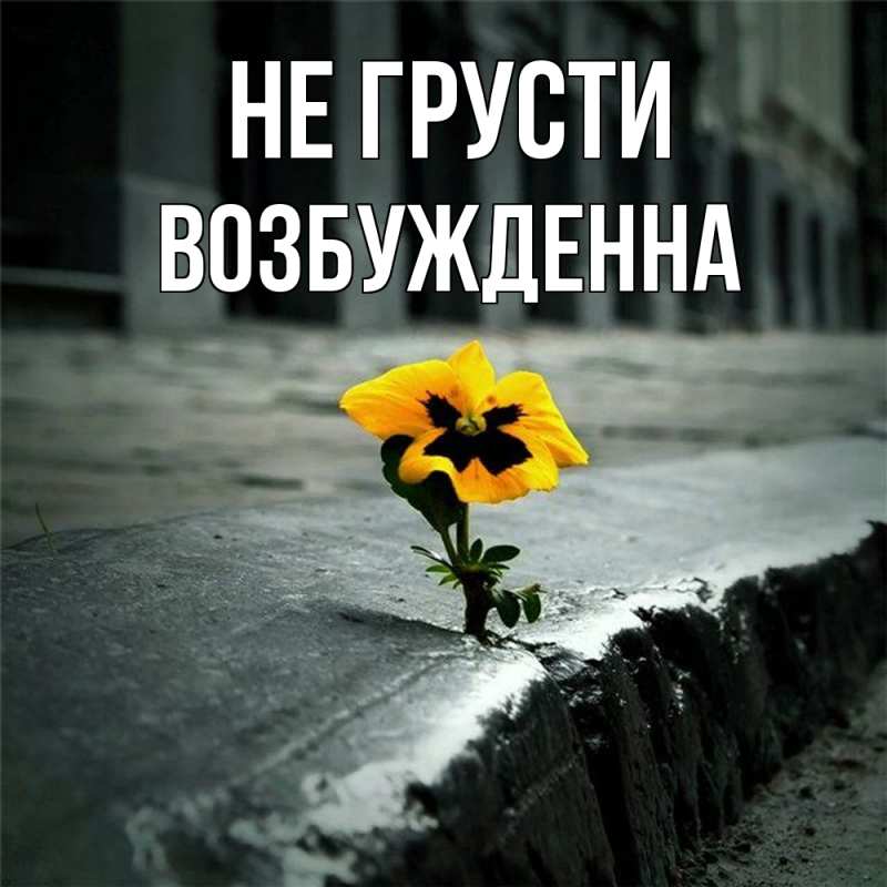 Картинка Не грусти, Возбужденна