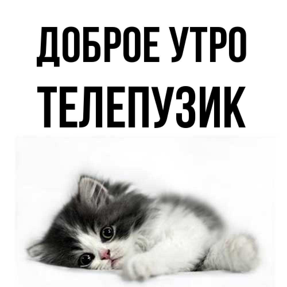 Открытка на каждый день с именем, Телепузик Доброе утро кот лапки Прикольная открытка с пожеланием онлайн скачать бесплатно 