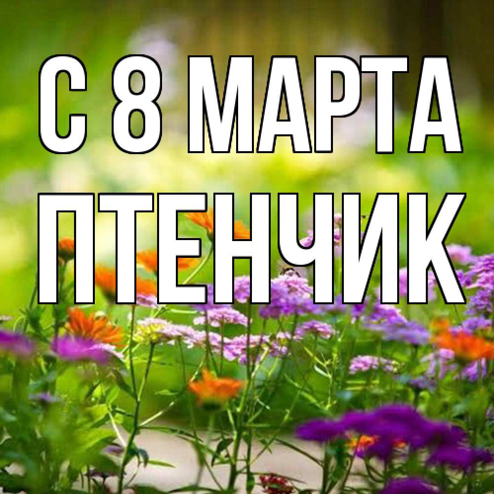 Открытка на каждый день с именем, Птенчик C 8 МАРТА цветы Прикольная открытка с пожеланием онлайн скачать бесплатно 