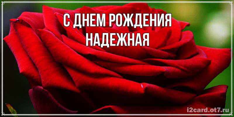 Картинка С днем рождения, надежная