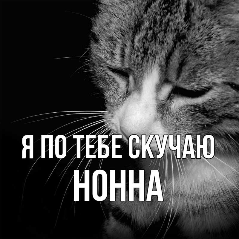 Картинка Я по тебе скучаю, Нонна