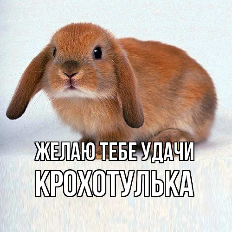 Картинка Желаю тебе удачи, крохотулька