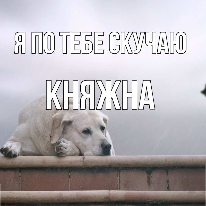 Картинка Я по тебе скучаю, Княжна