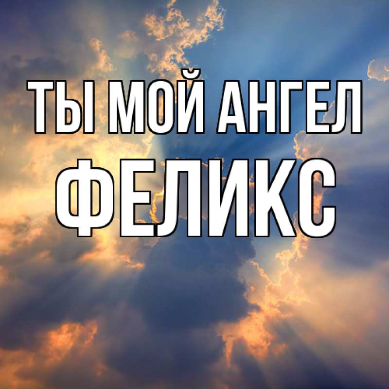 Картинка Ты мой ангел, Феликс