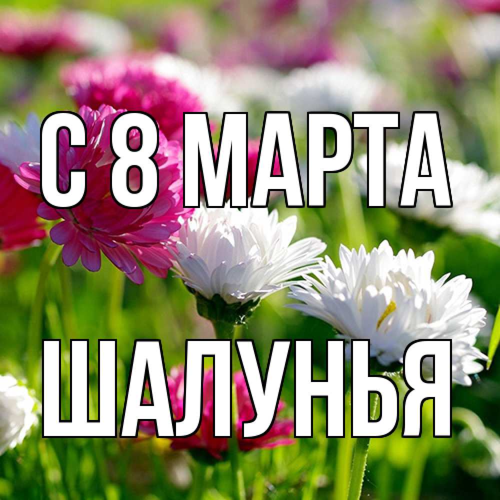 Открытка на каждый день с именем, Шалунья C 8 МАРТА международный женский день 1 Прикольная открытка с пожеланием онлайн скачать бесплатно 
