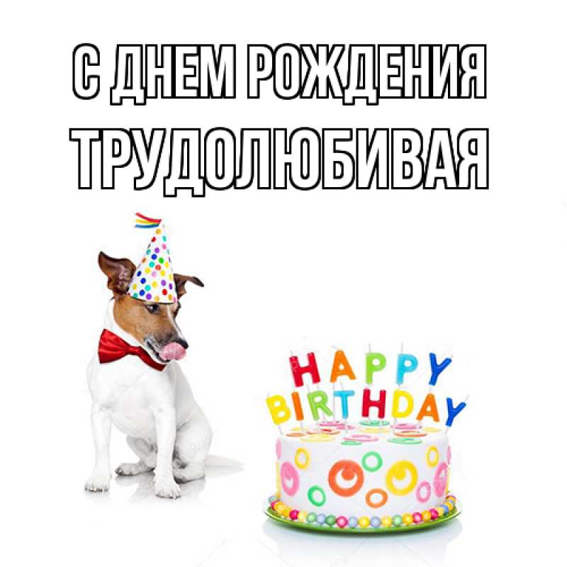 Картинка С днем рождения, Тpудолюбивая