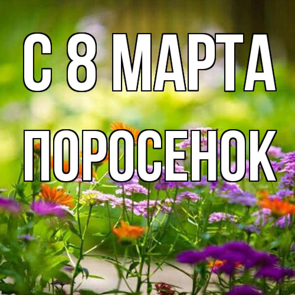 Открытка на каждый день с именем, Поросенок C 8 МАРТА цветы Прикольная открытка с пожеланием онлайн скачать бесплатно 