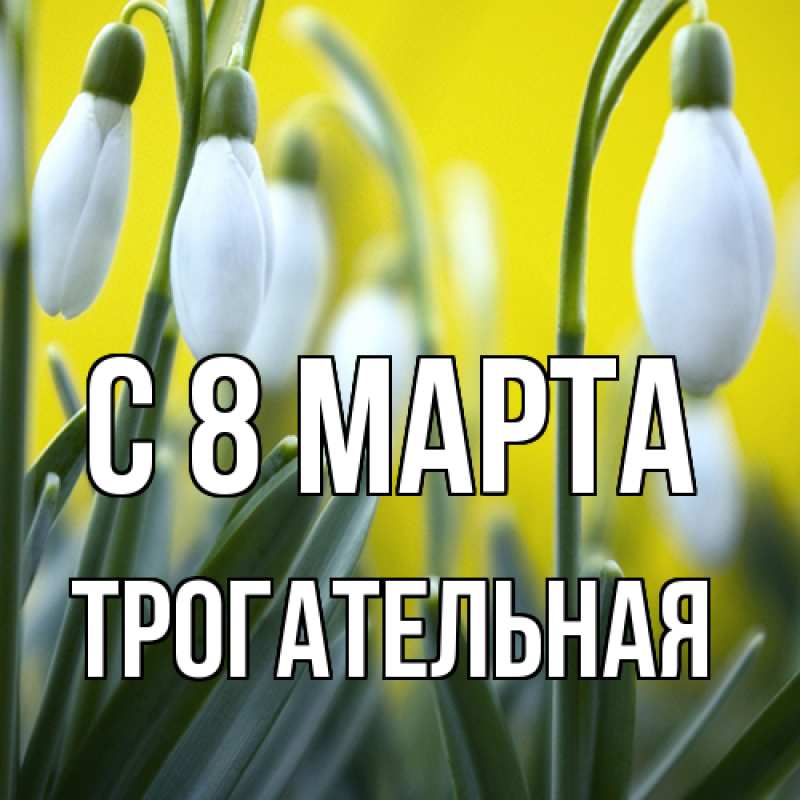 Картинка C 8 МАРТА, Тpогательная