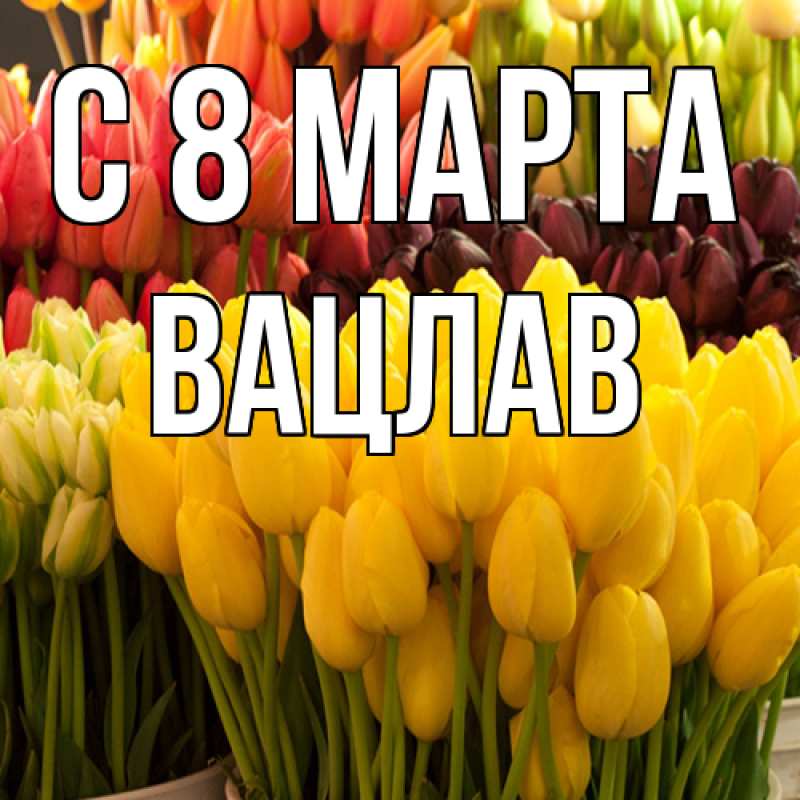 Картинка C 8 МАРТА, Вацлав
