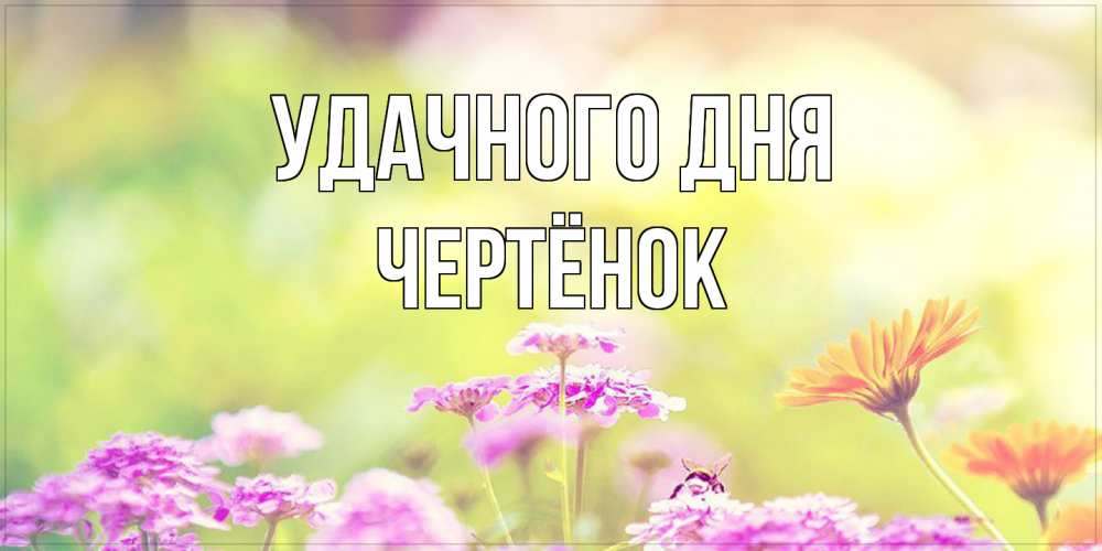 Открытка на каждый день с именем, Чертёнок Удачного дня красивая открытка с летней темой Прикольная открытка с пожеланием онлайн скачать бесплатно 