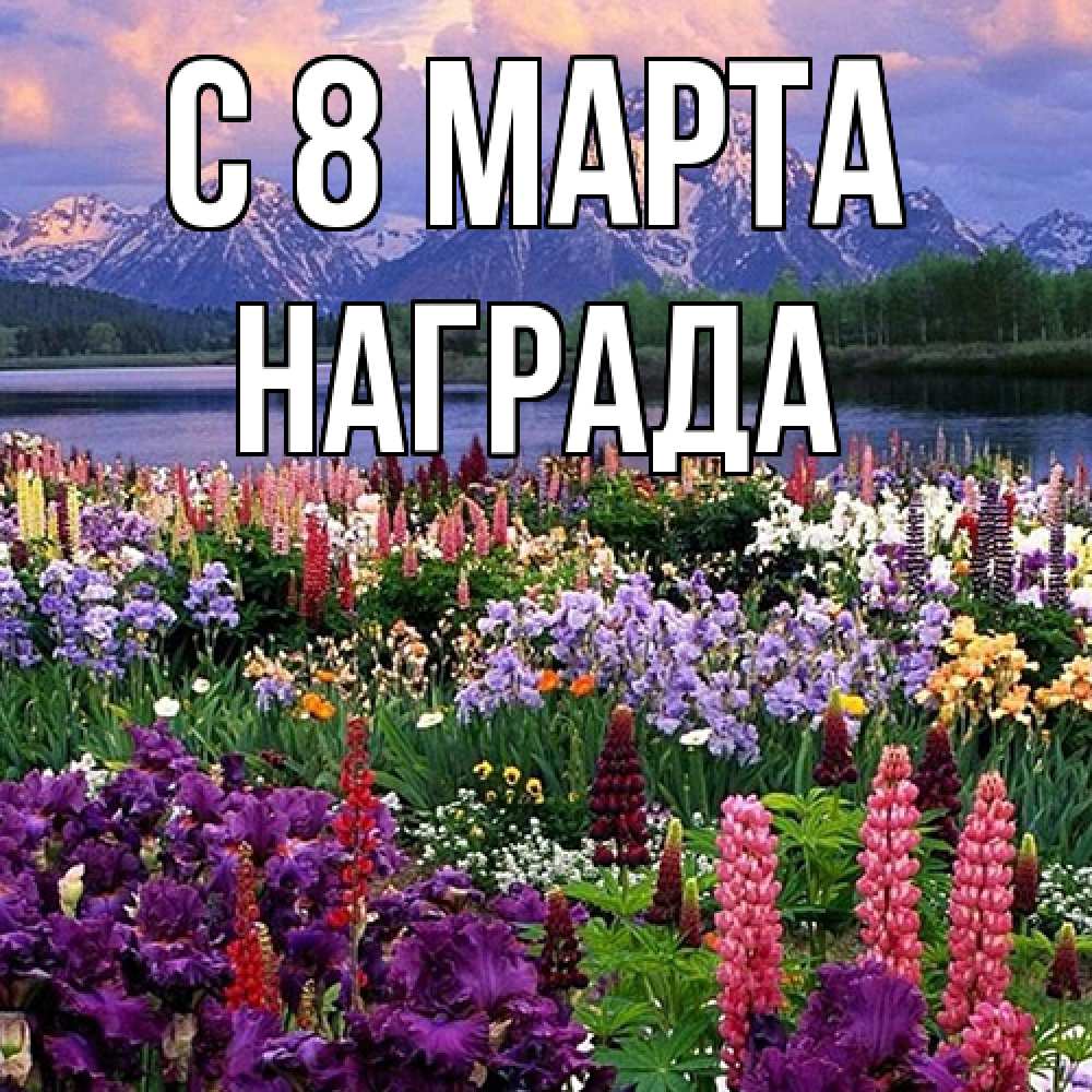 Открытка на каждый день с именем, Награда C 8 МАРТА международный женский день Прикольная открытка с пожеланием онлайн скачать бесплатно 