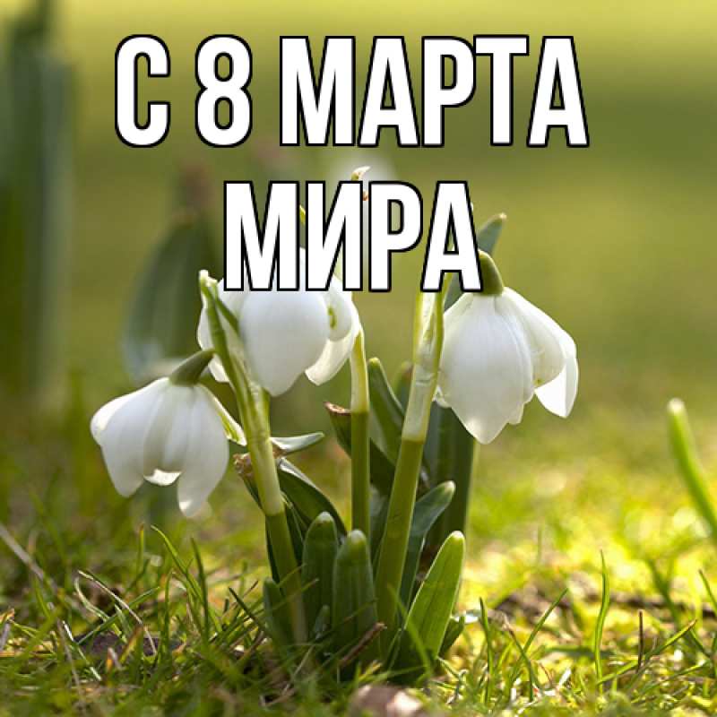 Картинка C 8 МАРТА, Мира