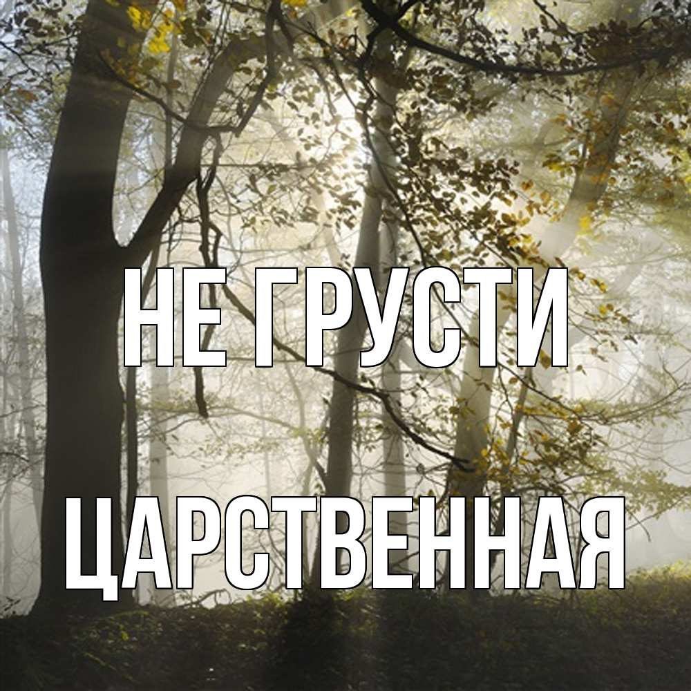 Открытка на каждый день с именем, Цаpственная Не грусти лес и свет Прикольная открытка с пожеланием онлайн скачать бесплатно 