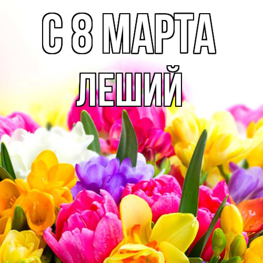 Открытка на каждый день с именем, Леший C 8 МАРТА тюльпаны Прикольная открытка с пожеланием онлайн скачать бесплатно 