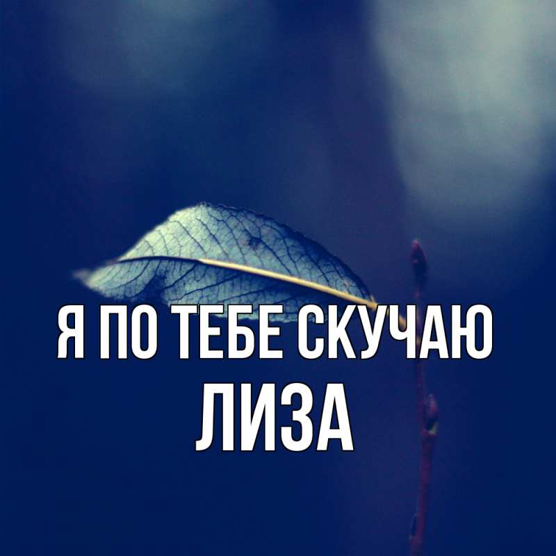 Картинка Я по тебе скучаю, Лиза