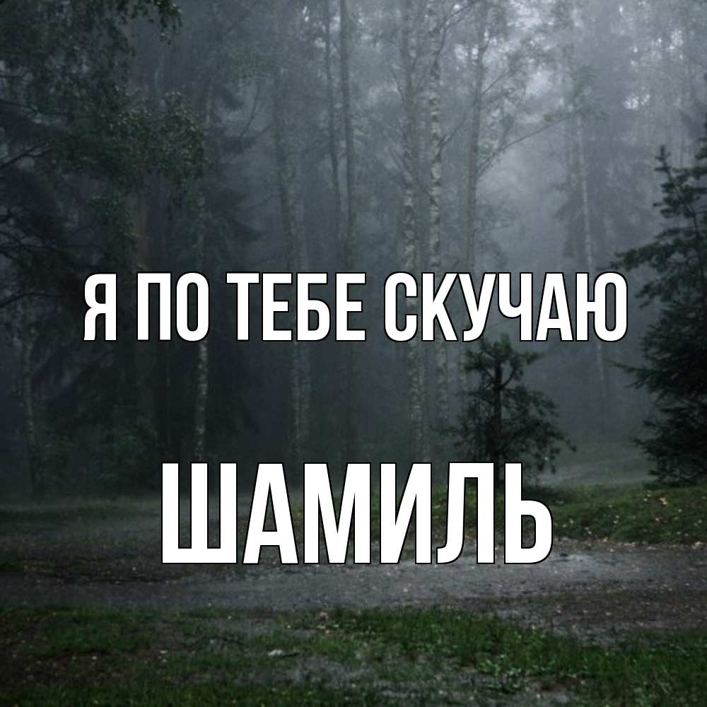 Открытка на каждый день с именем, Шамиль Я по тебе скучаю одна и плохо мне Прикольная открытка с пожеланием онлайн скачать бесплатно 