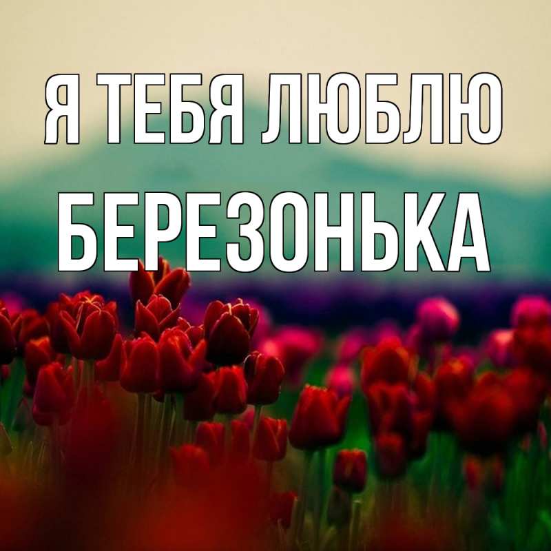 Картинка Я тебя люблю, Березонька