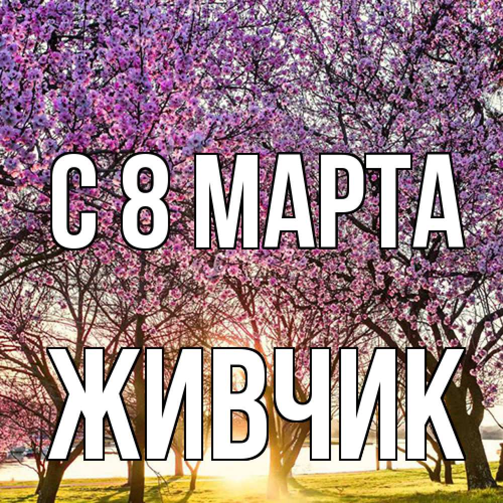 Открытка на каждый день с именем, Живчик C 8 МАРТА международный женский день Прикольная открытка с пожеланием онлайн скачать бесплатно 