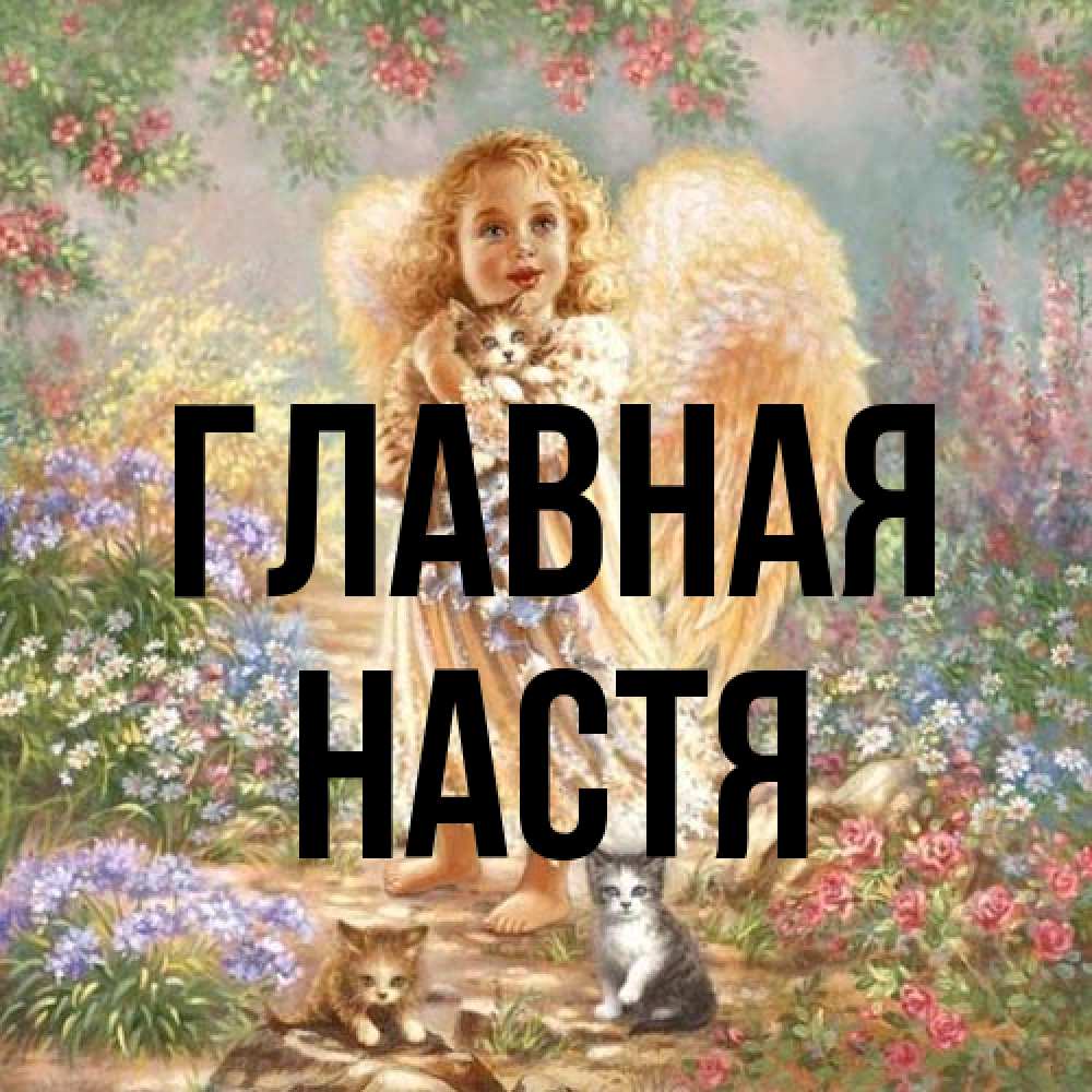 Открытка на каждый день с именем, настя Главная держит котенка Прикольная открытка с пожеланием онлайн скачать бесплатно 