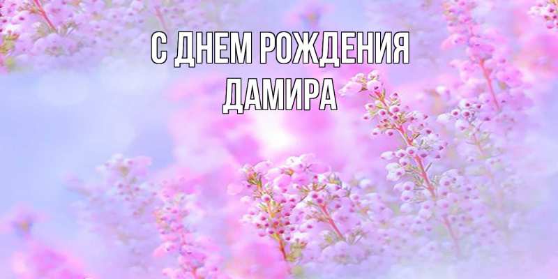 Картинка С днем рождения, Дамира
