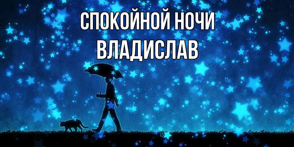 Открытка на каждый день с именем, Владислав Спокойной ночи ночные прогулки с котом под звездами Прикольная открытка с пожеланием онлайн скачать бесплатно 