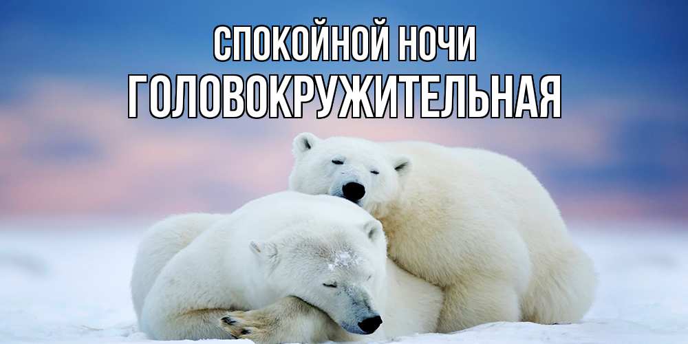 Открытка на каждый день с именем, Головокружительная Спокойной ночи белые медведи спят в обнимку Прикольная открытка с пожеланием онлайн скачать бесплатно 