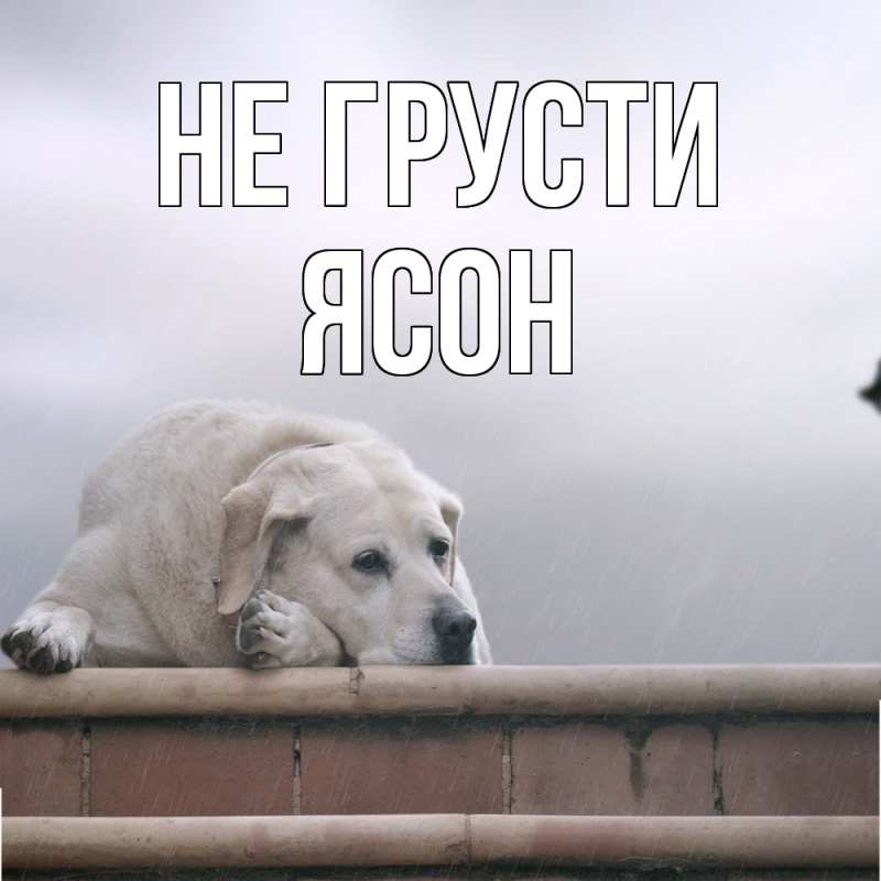 Картинка Не грусти, Ясон