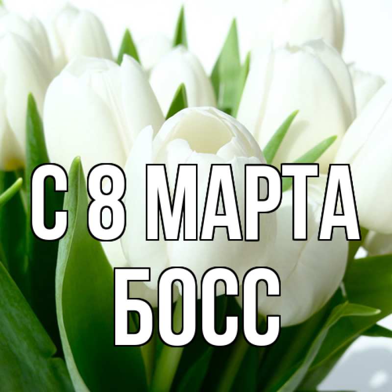 Картинка C 8 МАРТА, Босс