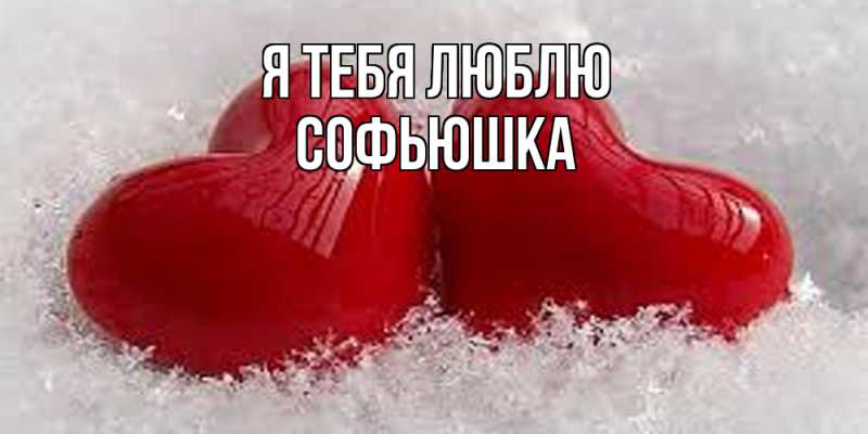 Картинка Я тебя люблю, Софьюшка