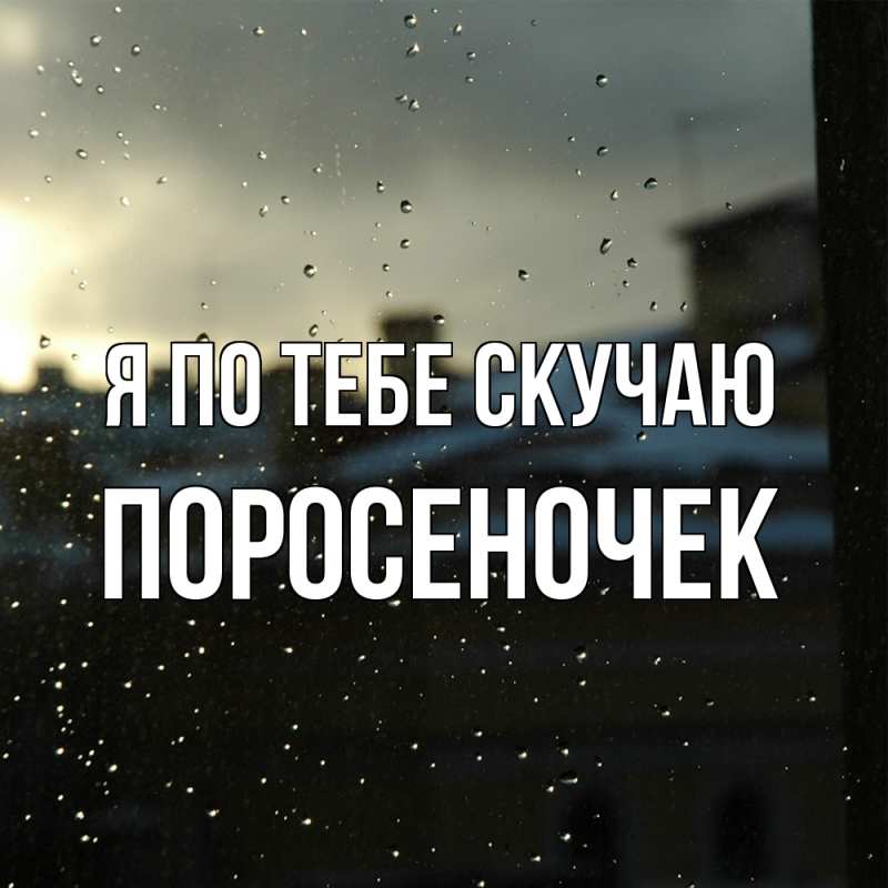 Картинка Я по тебе скучаю, поросеночек